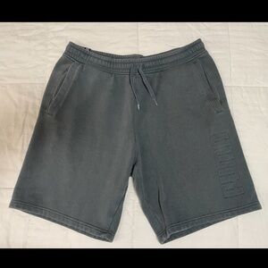 Men’s Puma Size Large Blue Grey Drawstring Sweat Short Athleisure Gym EUC